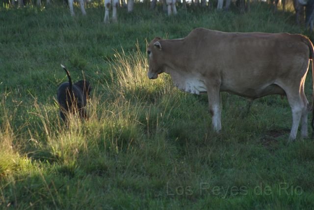 Februar 2013 125.JPG
